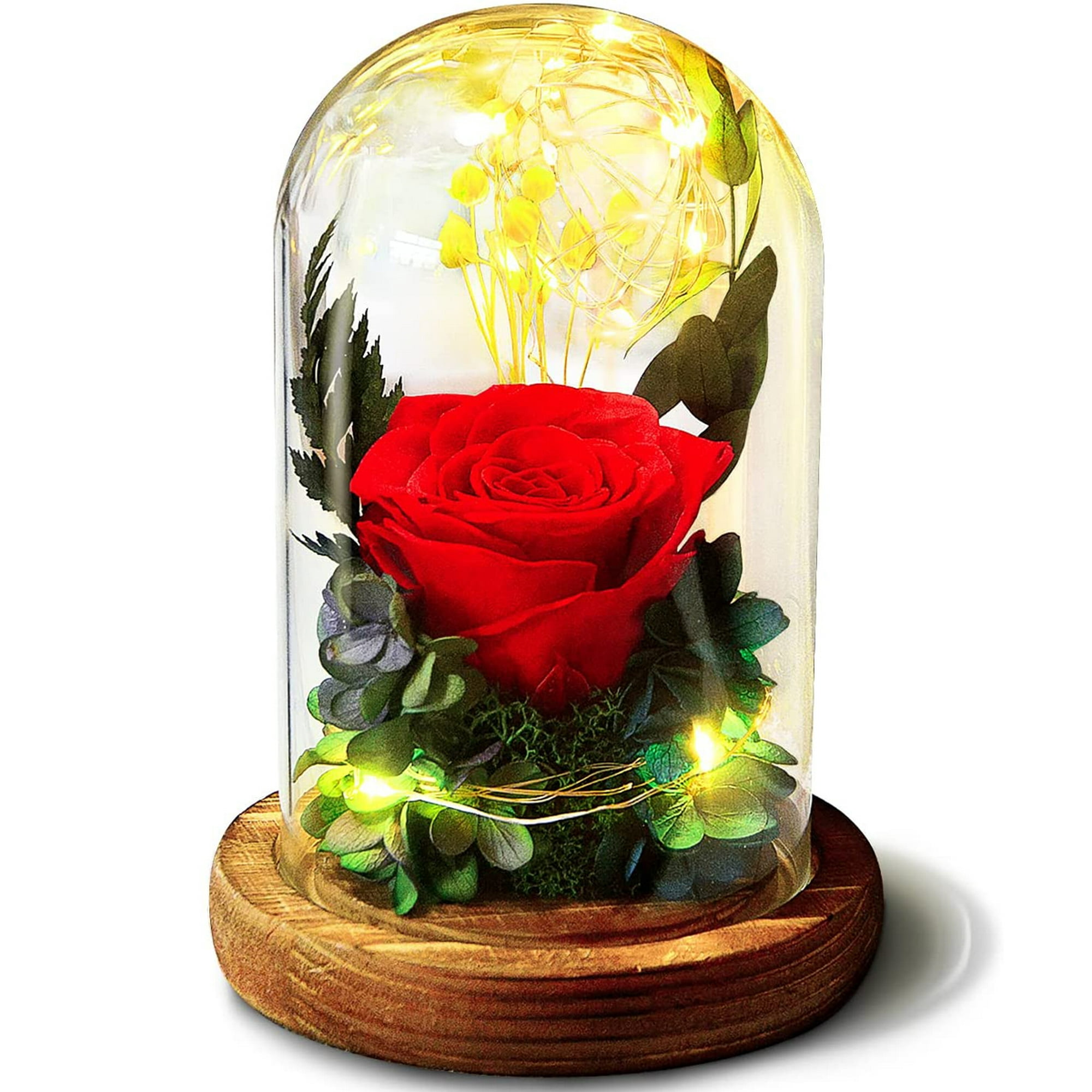 Lámpara de mesa de flores de rosas, lámpara LED de rosa artificial  regulable con florero de cristal en cubo, lámparas inalámbricas recargables  por