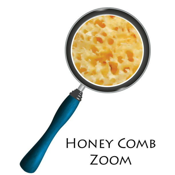 Esponja Natural de Mar Honeycomb (10cms) – Tienda Cresso, hay algo