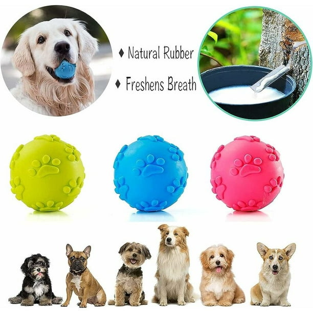 Pelotas de juguete para perros, pelotas de juguete con sonido, pelota de  masticar de juguete para perros, pelota de limpieza de dientes molares para  cachorros, para perros pequeños y medianos TUNC Sencillez