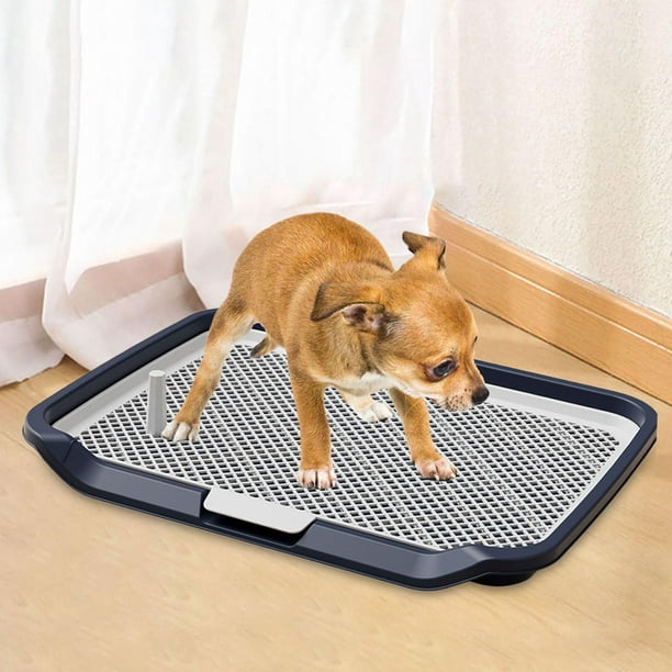 Inodoro para perros, inodoro con rejillas de malla, soporte para  almohadillas de entrenamiento para Yinane Bandeja de baño para gatos