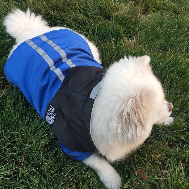 Chubasquero Mascotas Exteriores, Ropa Impermeable Perros, Chubasquero  Mascotas Ala Evitar Agua Lluvia, Impermeable Reflectante Perros Fácilmente, 90 Días Protección Comprador