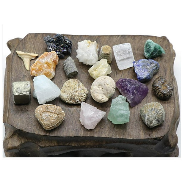 Matsuzay 20 tipos de minerales de piedra de ágata Natural de tamaño Mini,  fósiles para niños, cristalino en forma aleatoria para regalos de  Decoración del hogar