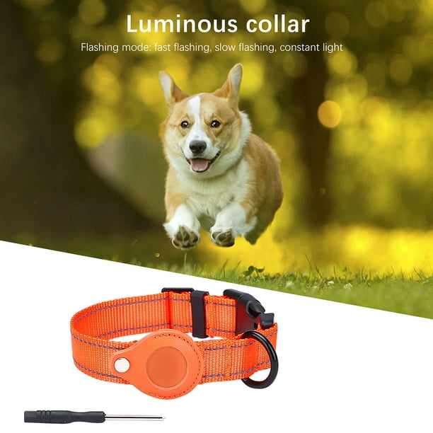 Collar para mascotas para Apple Airtag correa para perro y gato Wdftyju  funda protectora ajustable aplicable al Collar de rastreador Airtag  antiarañazos