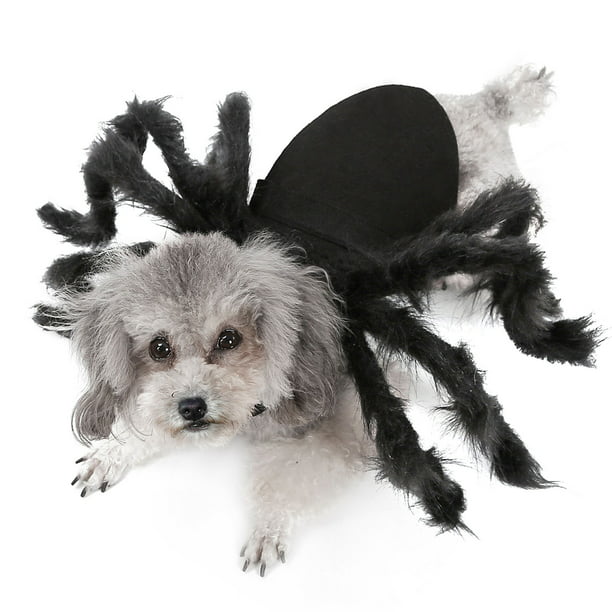 Disfraz de araña para perros y gatos de trajes de fiesta para mascotas para perr Irfora Medio | Walmart en línea
