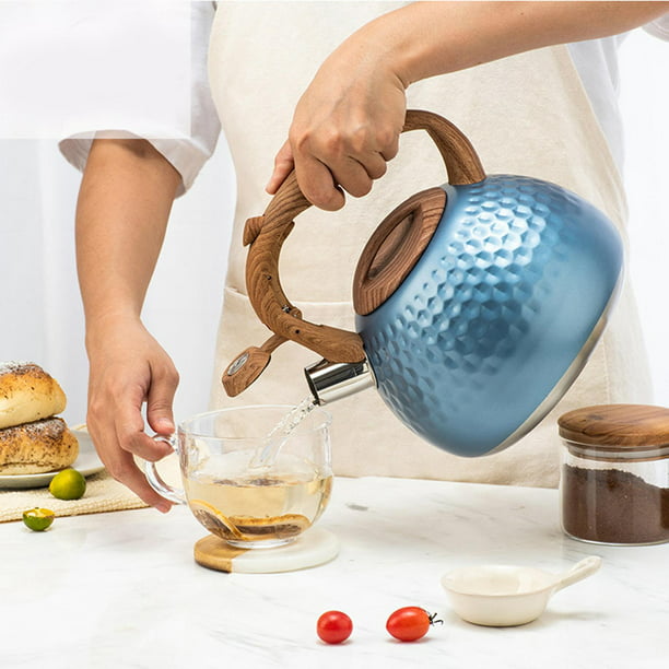Tetera, tetera de acero inoxidable, apta para hervir agua y té en la estufa  de inducción, estufa de gas (color : calabaza azul, tamaño: 3 litros)