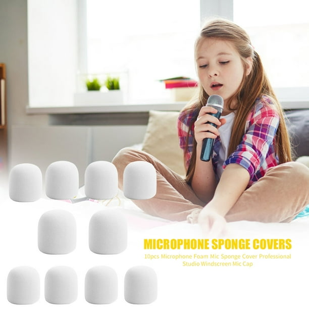 Esponja para Micrófono - La Casa del Músico