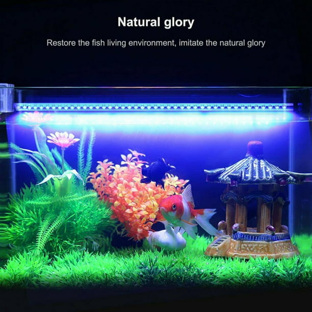 Luces LED de cultivo para acuario, lámpara LED de ahorro de energía, luz  LED clásica para acuario, luz LED para plantas de acuario, iluminación de