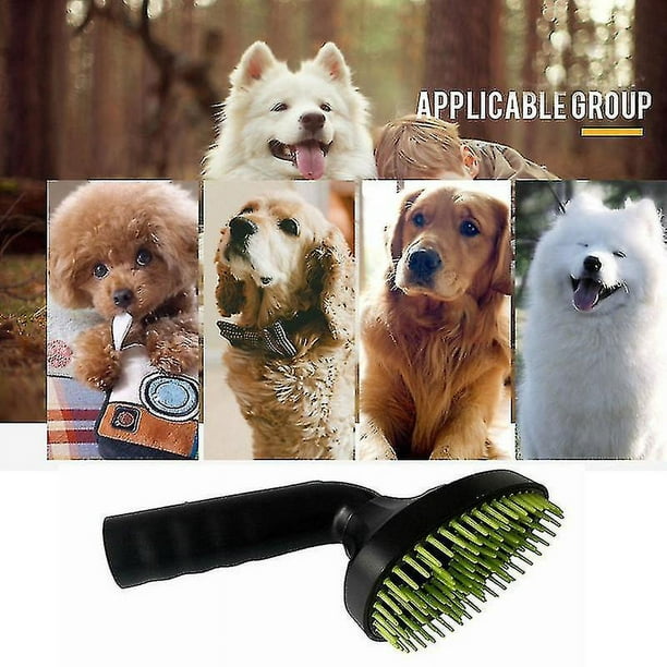 Aspirador de masaje para mascotas, removedor de piel, cuidado, cepillo para  el pelo, boquilla
