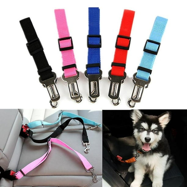 Cinturón de seguridad de coche para perro, gato, coche, color naranja,  cinturón de seguridad para mascotas, correa de seguridad para perros,  collar de