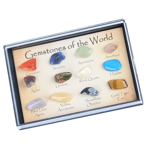 Caja de colección de minerales del mundo