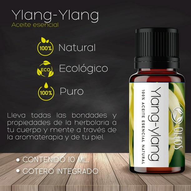 Mezcla de aceites esenciales para dormir para difusor, aceites de ensueño,  aromaterapia y bienestar con Ylang-Ylang Claro, salvia romana, manzanilla –  Yaxa Store
