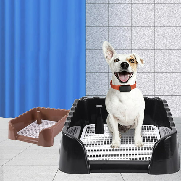 Bandeja de arena para inodoro para perros, almohadillas de entrenamiento para  perros pequeños, inodoro reutilizable para entrenamiento de mascotas con  Azul Zulema Baño de perros