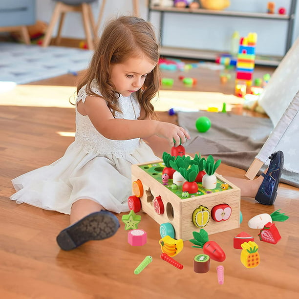 Juguetes educativos de madera para niños pequeños de 2 años de edad, 3 años  de edad, niños y niñas, juguetes de clasificación de formas, regalos para