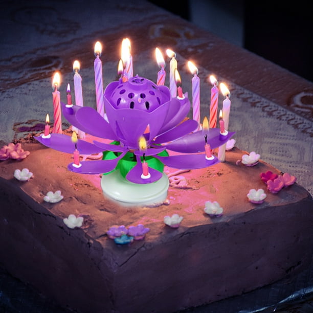 DOÑA FLORA Cotillon - ¡Decorá tu torta de cumple con las velas más  originales! ✨ Velas con formas de estrella, corazón y números, en varios  colores 🎂 👉 Escribinos a 📲 wa.me/543885082455❗