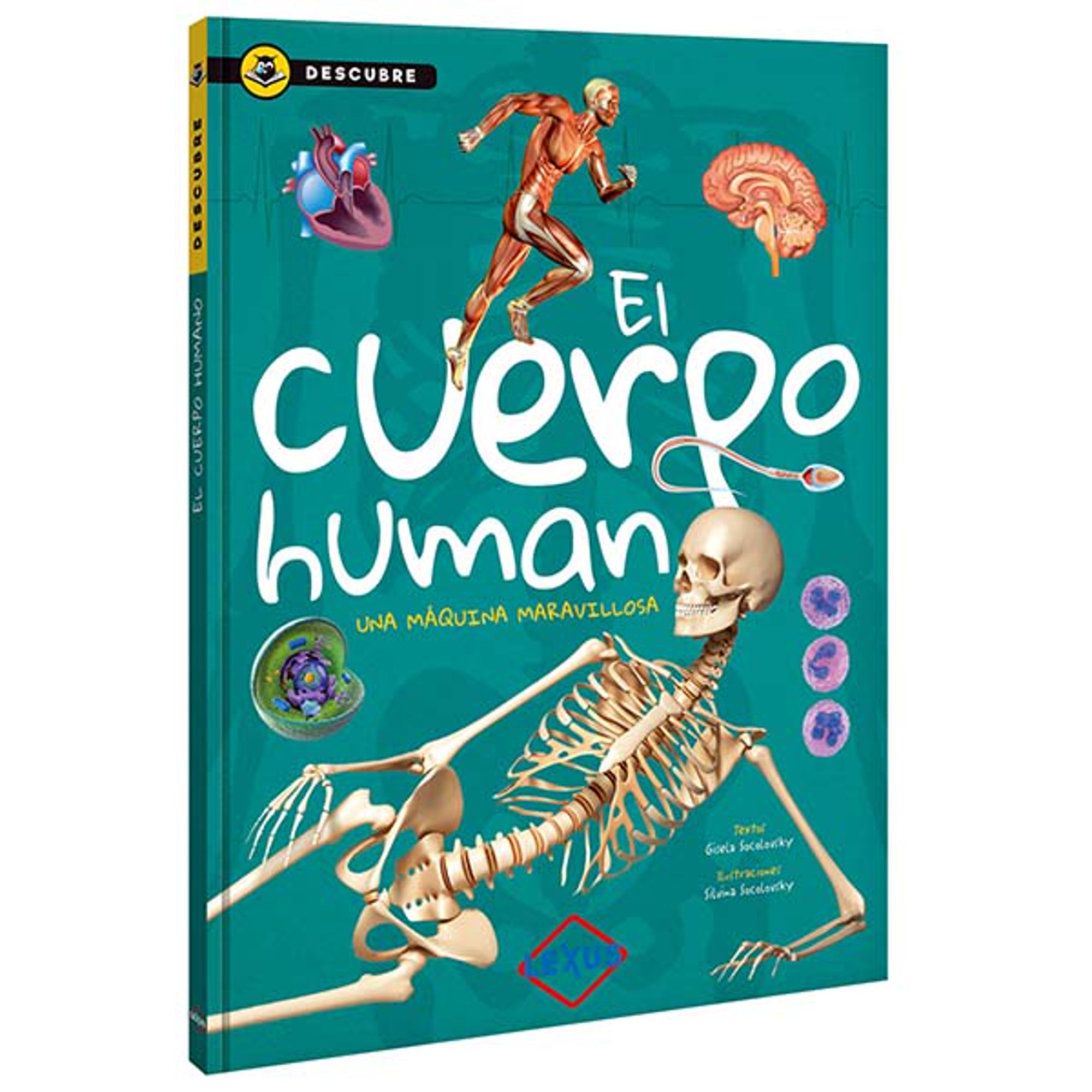 El Cuerpo Humano Lexus Editores Libro Descubre Walmart En Línea 4387