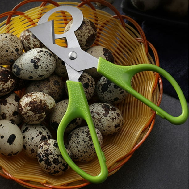 Tijeras para huevos de codorniz de 4 piezas, tijeras para huevos de codorniz  de acero inoxidable, tijeras pequeñas para huevos de codorniz, abridor de  huevos de codorniz, herramienta de cocina para abrir
