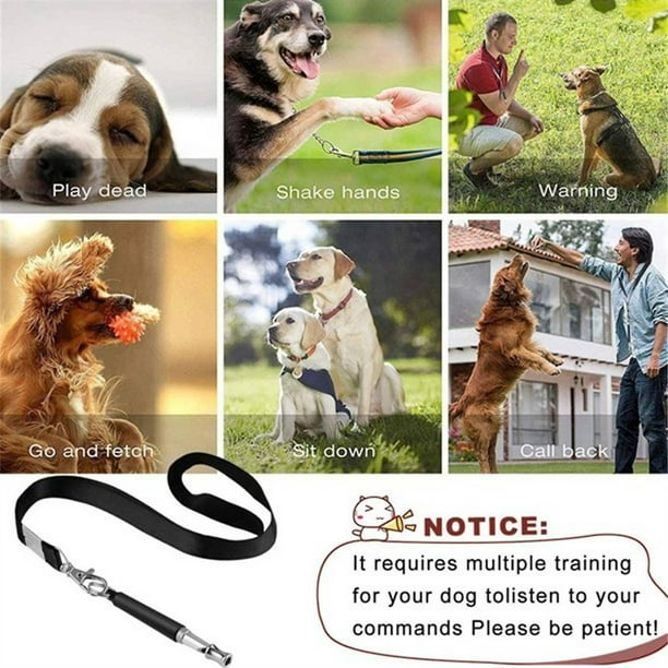 Silbato para perro para dejar de ladrar, silbato ultrasónico ajustable  silencioso para perro con cordón, silbatos de entrenamiento profesional  para
