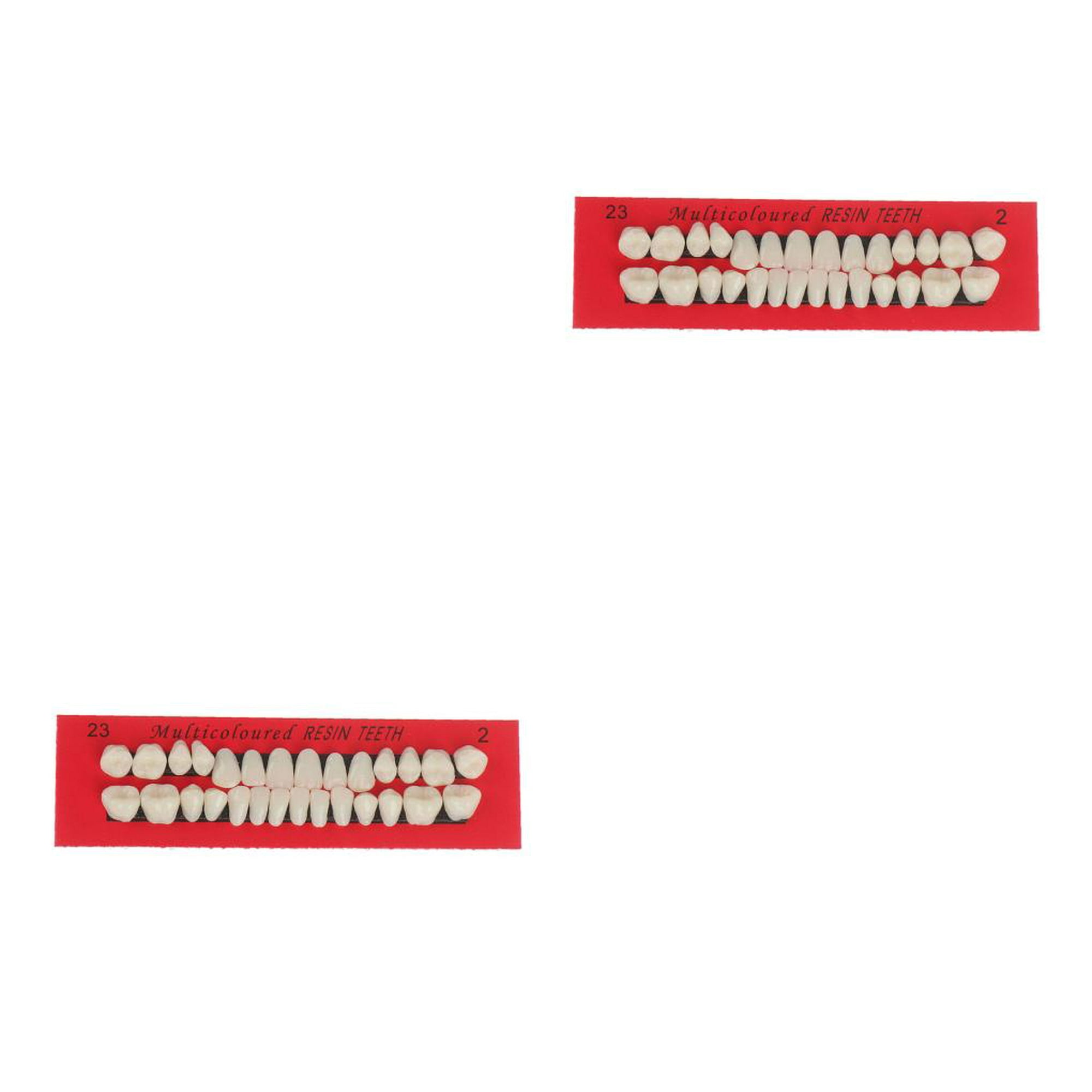 Modelo De Dientes De Resina Dentaduras Duraderas Dientes Postizos  Universales Resi 28 Unids/Set Guardurnaity CE003654-00