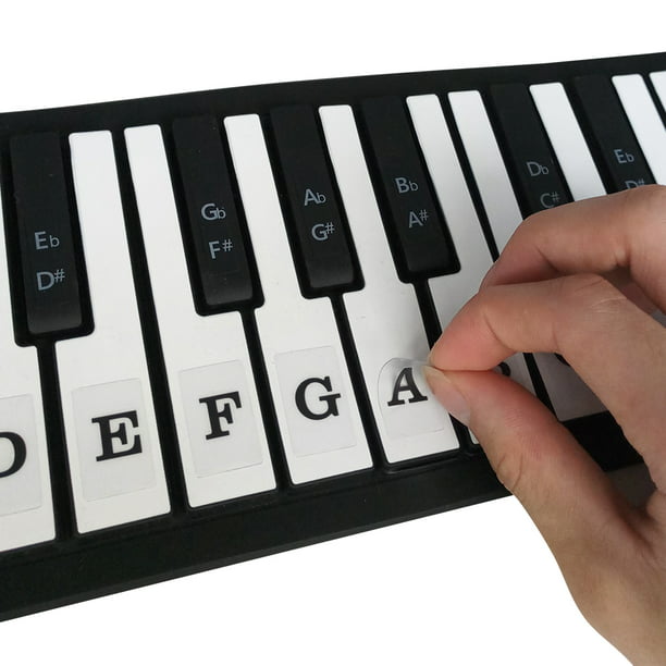Pegatinas extraíbles para teclado , tableros de personal de música, guía de  notas para teclas 88/61/54/49, piano enrollado a mano, CUTICAT Pegatinas de  teclado de piano