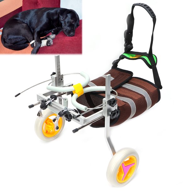 Coche para perros discapacitados silla de ruedas de aleación de aluminio carrito  para mascotas silla de ruedas para perros discapacitados ANGGREK Otros