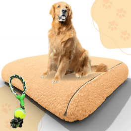 Cama para discount perros con sombrilla