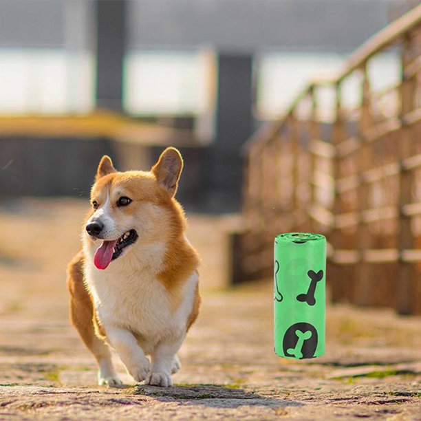 Bolsas para Perros, Perro con Dispensador, Bolsa Biodegradable