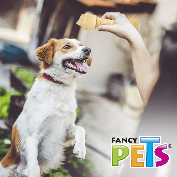 Fancy Pets  PAÑAL XCH P/PERRO - 12 PZ