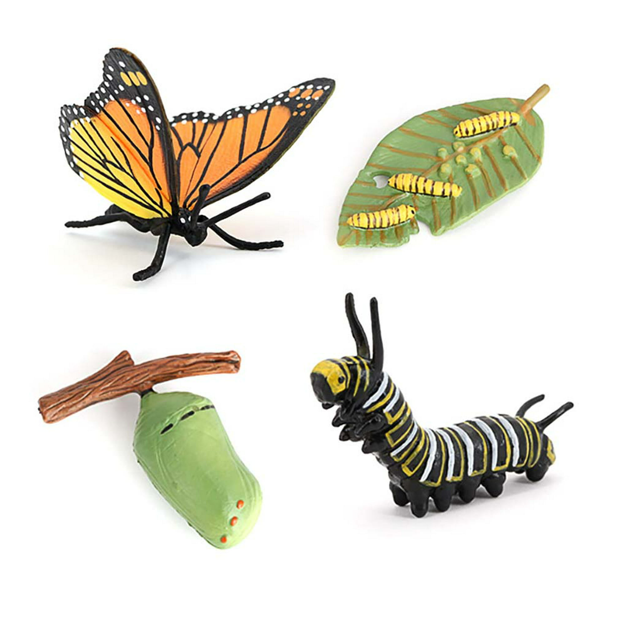 Tholdsy Simulación de proceso de crecimiento de insectos, juguete educativo  de aprendizaje, juguetes de crecimiento, figuras de plástico para padres e  Juguetes Educativos Tholdsy FN010056-00