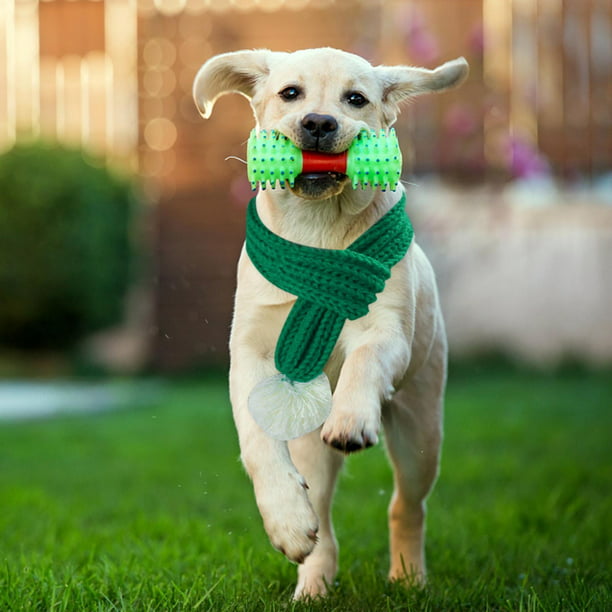  SOCHII 40 unidades de pañuelos para perros, accesorios para  mascotas, bufandas de algodón para perros pequeños, medianos y grandes,  Chihuahua, colores mixtos, tamaño libre : Productos para Animales