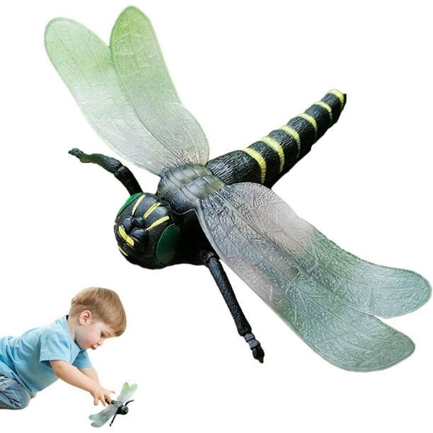Figuras de Juguete de simulación de Insectos para niños y niñas, Insectos  de Juguete Decorativos Araña Mariquita Libélula para favores de Fiesta en  el Aula XianweiShao 8390615119153