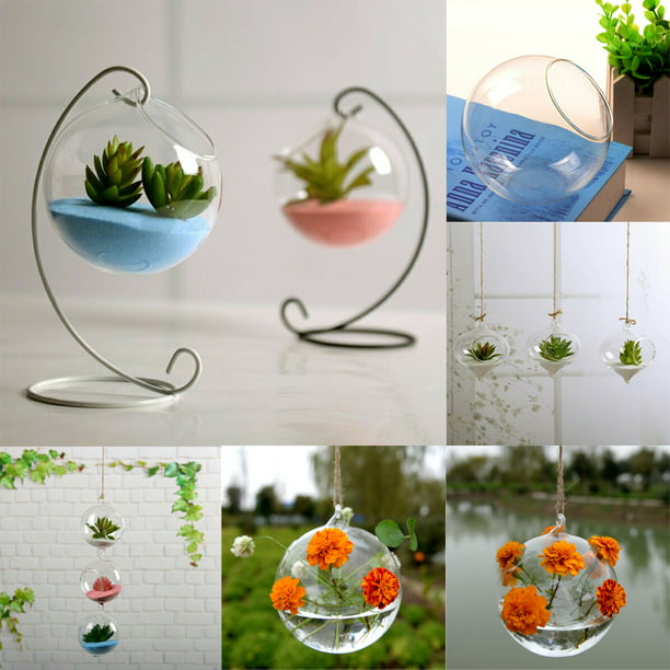 de maceta de flores, cristal colgante para plantas hidropónicas, decoración del XBTCLXEBCO terrario bola de bruja, mini linterna | Walmart en línea