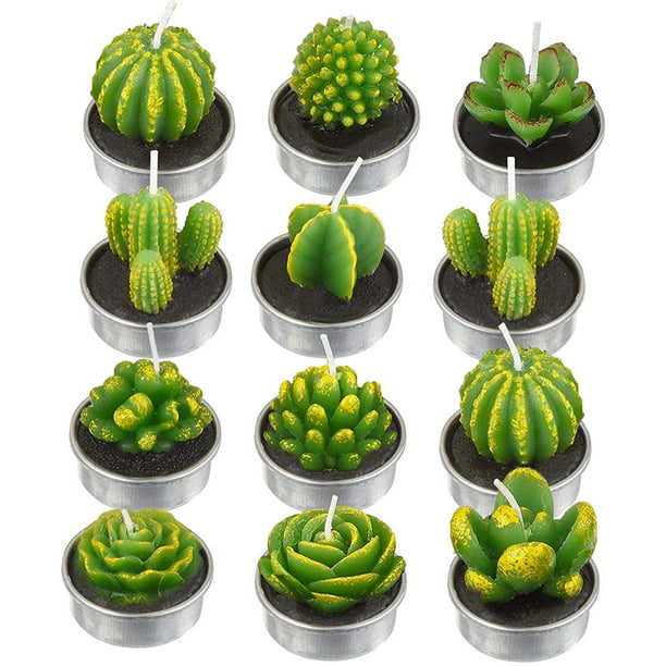 Velas Decorativas Cactus y Suculenta Artificiales 12 Pz