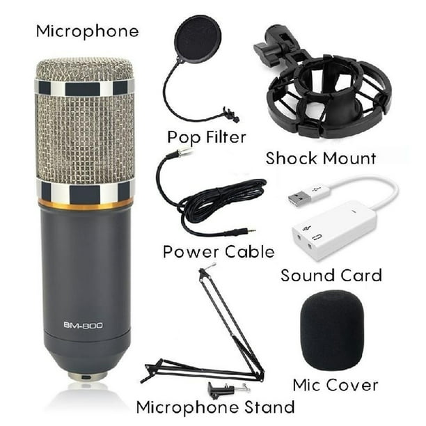 Micrófono Condensador Usb Profesional Brazo Ajustable Bm-800