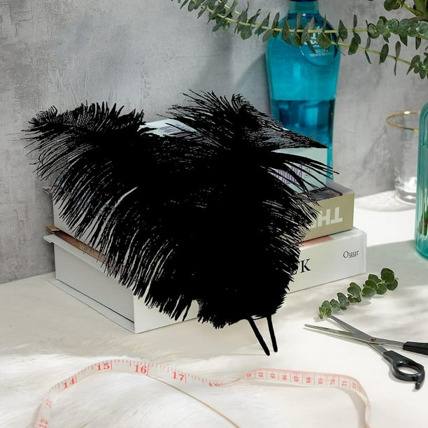  Plumas de avestruz genuinas para manualidades, 2 plumas de  avestruz naturales para decoración de mesa, bodas, fiestas, centros de  mesa, decoración del hogar : Arte y Manualidades