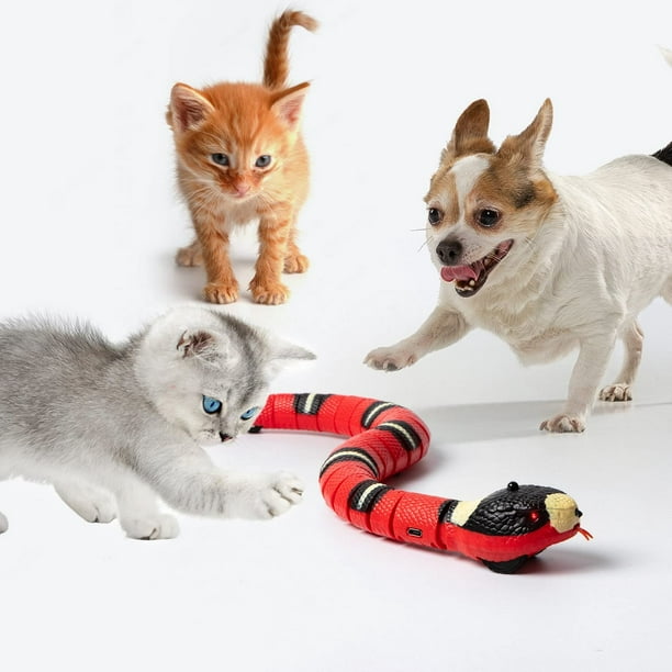 Juguete eléctrico de serpiente, juguete inteligente con serpiente  recargable por USB, juguete de serpiente para gatos, juguete de serpiente  que mueve