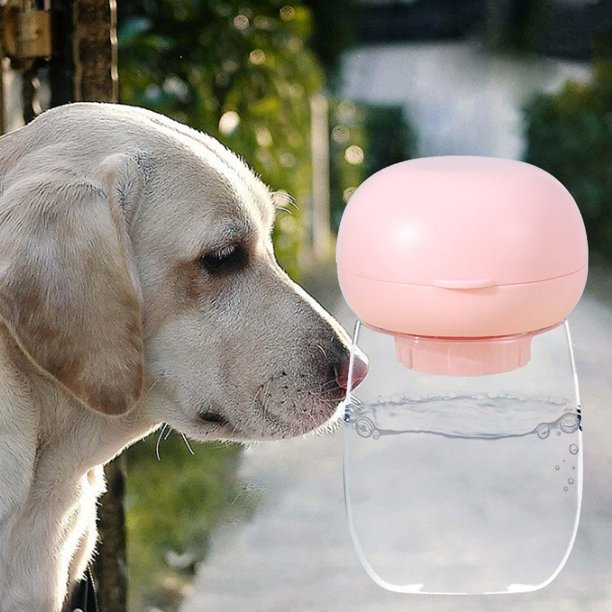 Bebedero portátil de 300ML para perros pequeños y grandes, botella de agua  de viaje para cachorros