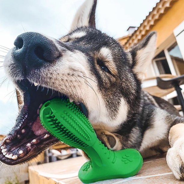 Cepillo para perros de cerdas naturales