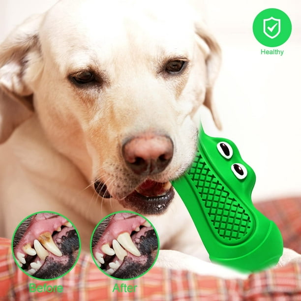 ENVR Juguete para Perro, Juguetes para Perros Ansiosos, Juguetes  Interactivos para Perro, Juguete Dispensador de Comida para Perro (Verde) :  .com.mx: Productos para animales