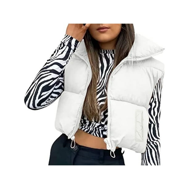 Chaleco Polar corto de doble cara para mujer, abrigo holgado para mantener  el calor, chaqueta de ocio Simple y salvaje, Otoño e Invierno - AliExpress