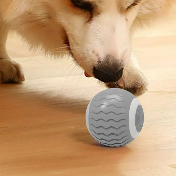 Juguete interactivo electrónico recargable para mascotas, juguete para  perros, pelota interactiva para mascotas