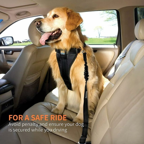 Cinturón seguridad perro ajustable y elástico para coche