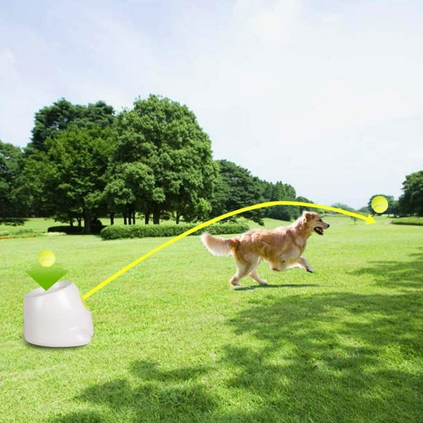 ALL FOR PAWS Lanzador automático de pelotas para perros, lanzador  automático de bolas para perros, juguetes interactivos, incluye 3 pelotas  de tenis