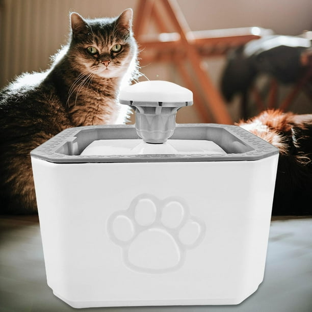 Dispensador de agua de 6,5 litros, plástico gris, para perros y gat