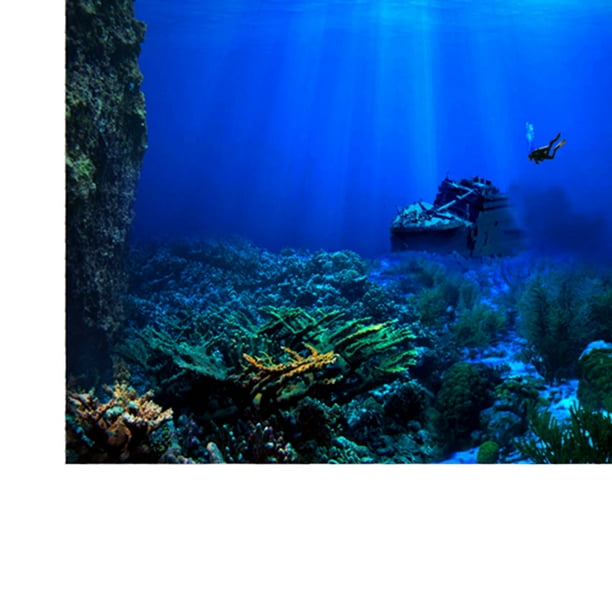 Fish Tank Impresión Digital 3D Fondo De Autoadhesivo Cielo Estreldo /  Decorativo Marino Etiqueta Eng Colco Foto de fondo del tanque de peces