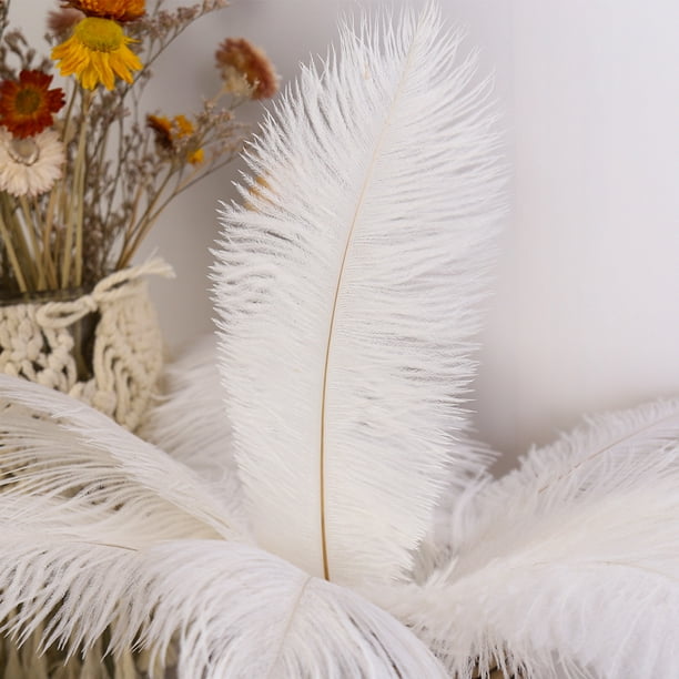Plumas Esponjosas Decoración 10 plumas de avestruz esponjosas para fiestas  de bodas, plumas de 30 a 35 cm (blanco) Likrtyny Libre de BPA