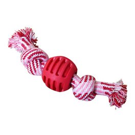 Jasonwell Juguetes para Perro 12 Piezas - Juguete Mordedera para Perro  Masticar Cuerda Pelota para Cachorros Juego de Juguetes para Perros  Ansiosos Juguete Interactivo para Perros Pequeños Grandes : :  Productos para