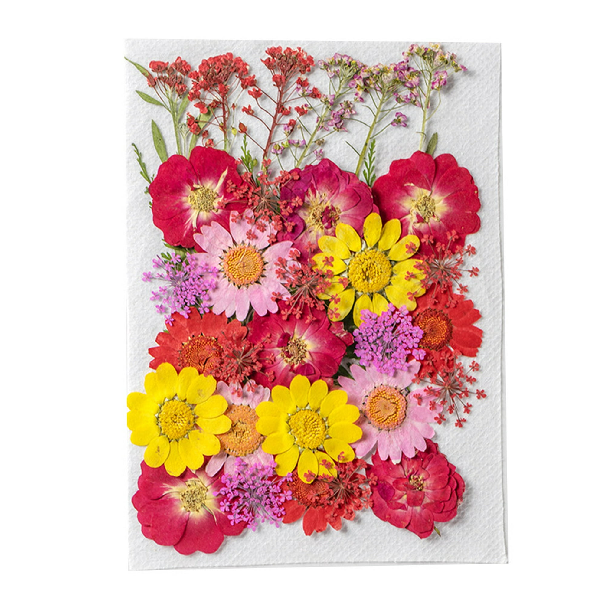 Flores Secas Decorativas En La Vasija Y La Calabaza De Vidrio Imagen de  archivo - Imagen de sombra, flor: 204363313