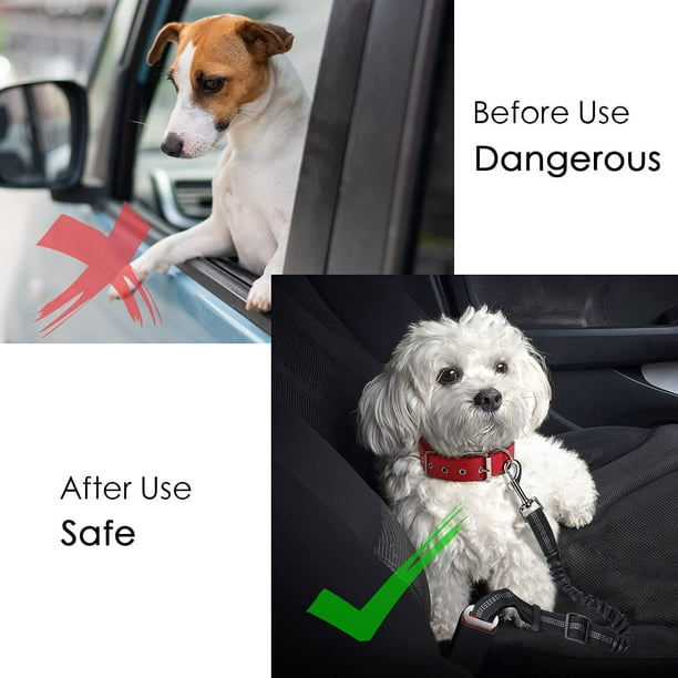 Cinturón de seguridad ajustable para perro, cinturón de seguridad para  perro, arnés ajustable para perro, gato, correa de seguridad de coche,  cinturón