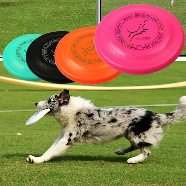 Disco para perros de 23 cm, mejor vuelo, resistente a pinchazos, Frisbee  para perros, no es un juguete de grado de competencia, entrenamiento con  disco volador al aire libre Ormromra 2035152-2