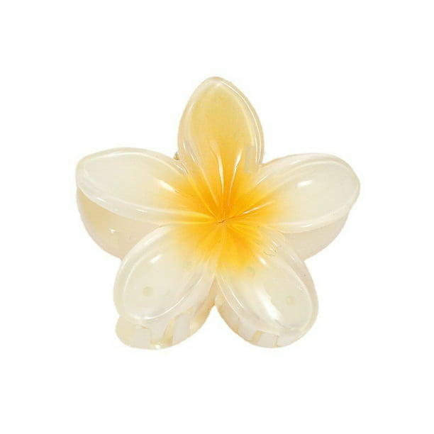  Pinza de pinza de flores, pinzas para el pelo de flores  hawaianas, pinzas de pelo de flores coloridas para mujeres (A3) : Belleza y  Cuidado Personal
